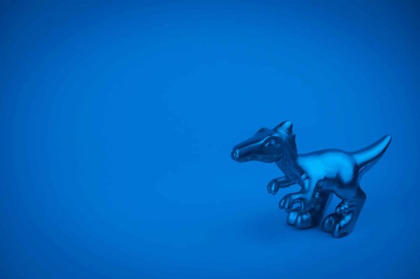 Styling a Neon Blouse for a Standout Advertising Agency Presentation: Tips & Ideas